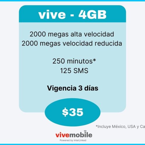 vive - 4GB